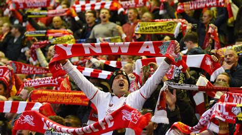 Fiwfans in English .